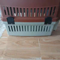 باکس حیوانات