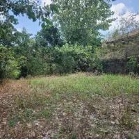 1/5هکتار زمین باغی مناسب کاشت درخت صنوبر