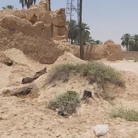 فروش زمین ۱۲۰۰ متری در فدشکویه فسا|فروش زمین و ملک کلنگی|فسا, |دیوار