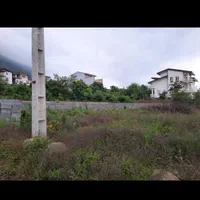 فروش زمین جنگلی باسند تک برگ