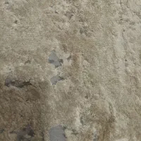 گمشده مدارک