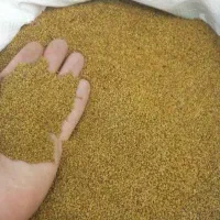 فروش بذر تضمینی