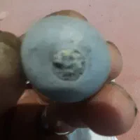 سنگ آسیاب|کلکسیون اشیاء عتیقه|تهران, میدان ولیعصر|دیوار