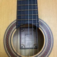 گیتار m2 parsiهمراه با کیس