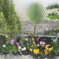 اجاره باغ ویلا استخر و جکوزی تمیز|اجارهٔ کوتاهمدت ویلا و باغ|مشهد, امیریه|دیوار