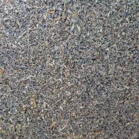 بذر بنفش اعلا