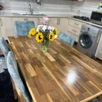 میز غذاخوری ۶ نفره|میز و صندلی غذاخوری|ایذه, |دیوار