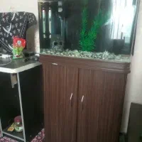 آکواریوم شرکتی