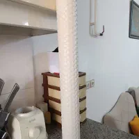جاسیخی نونو