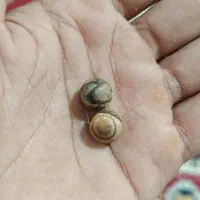 سنگ قیمتی