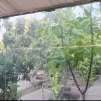باغ-جهت-باشگاه