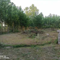 ۳۵۲ متر زمین با جواز ساخت ۱۰۰ متری آماده خلخالیان|فروش زمین و ملک کلنگی|پره‌سر, |دیوار