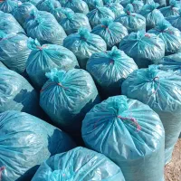 ذرت علوفه ای  سیلو