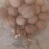 گردو ایرانی سامان درسه سایز