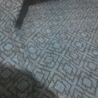 موکت زیر فرش