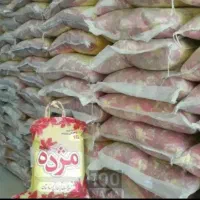 برنج هندی مژده عمده۱۶۵۰۰۰۰