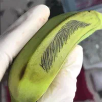 خدمات و آموزش تخصصی فیبروز تاتو چشم لب بدن ریمو