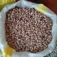 لوبیا چیتی اعلا