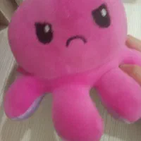 کتاب عروسک تابلو|کتاب و مجله آموزشی|تهران, شهرک ابوذر|دیوار