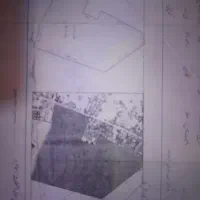 250 متر زمین ارغوانیه