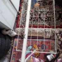 گهواره تمیز قیمت ۱۱۰۰