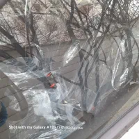 کوییک sصفر|خودرو سواری و وانت|تهران, باشگاه نفت|دیوار