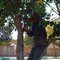 انجام کلیه کارهای باغبانی وفضای  سبزطرح واجرا