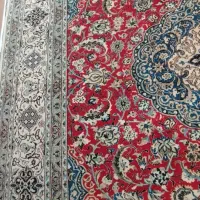 فرش دستباف ۱۲ متری|فرش|اردبیل, |دیوار