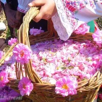 تور یک روزه کاشان(مخصوص بانوان)