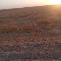 زمین-کشاورزی