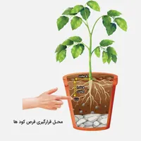 قرص کود ارگانیک|گل و گیاه طبیعی|رشت, بلوار گیلان|دیوار