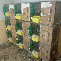 جفتگاه ۹جفتی شیک محکم بابهترین سلیقه درست شده