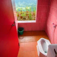 لوله بازکنی فنرزن ارتش هروی مجیدیه پاسداران شریعتی|خدمات پیشه و مهارت|تهران, اختیاریه|دیوار