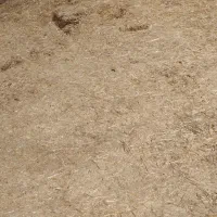 فروش کاه گندم درجه یک قیمت مناسب|حیوانات مزرعه|شیراز, شهرک سعدی|دیوار