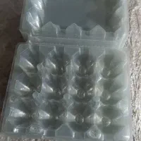 ظرف تخم بلدرچین ۲ا عددی