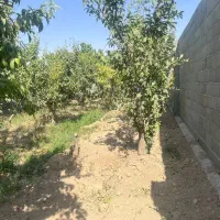 باغ ۴ دیواری|فروش دفتر صنعتی، کشاورزی، تجاری|رامجین, |دیوار