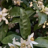 فروش زمینی با موقعیت ساخت و ساز در مکان مناسب