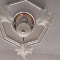 لوستر برگی|لوستر و چراغ آویز|تهران, مدائن|دیوار