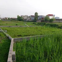 فروش زمین ۲۵۴ متری در عینک|فروش زمین و ملک کلنگی|رشت, نخودچر|دیوار