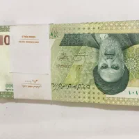 ۱ بسته اسکناس خشک ۱۰هزارتومانی|کلکسیون سکه، تمبر، اسکناس|شیراز, فرهنگ شهر|دیوار
