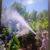 سمپاشی سمپاشی درخت