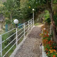 سوئیت جنگلی دنج رامسر