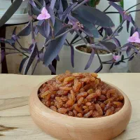 فروش کشمش آفتابی کاشمر|خوردنی و آشامیدنی|کاشمر, |دیوار