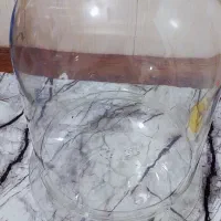 تنگ بزرگ مناسب هدیه  و گل