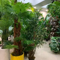 درخت مگنولیا و انواع درختان