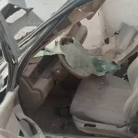 سمندتصادفی83