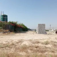 زمین-باغ-لاسبید