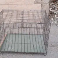 قفس|لوازم جانبی حیوانات|محمدشهر, همایون ویلا|دیوار