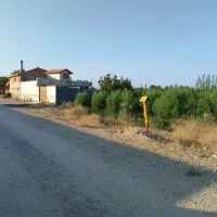 فروش انواع زمین باغ شهری و کشاورزی