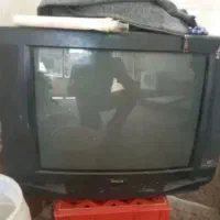 تلویزیون